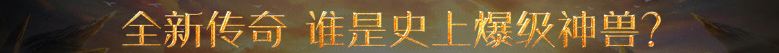 新視角視界